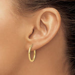 14k Medium Gold Hoop Earrings - Lexie Jordan Jewelry