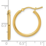 14k Medium Gold Hoop Earrings - Lexie Jordan Jewelry