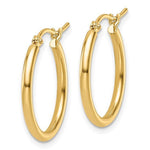 14k Medium Gold Hoop Earrings - Lexie Jordan Jewelry