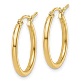 14k Medium Gold Hoop Earrings - Lexie Jordan Jewelry