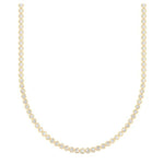 Elegance Chain - Lexie Jordan Jewelry