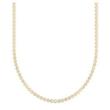 Elegance Chain - Lexie Jordan Jewelry